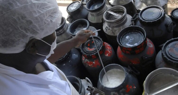 CMN libera linha de capital de giro a cooperativas de leite no Pronaf