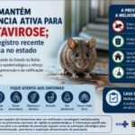 Bahia mantém vigilância ativa para hantavirose; não há registro recente da doença no estado