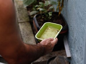 Bahia registra queda de 41% nos casos de dengue em 2026