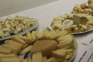 Brasil começa a importar queijo mais barato após acordo Mercosul–UE