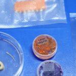 Embrapa produz em laboratório salmão, caviar e anéis de lula veganos