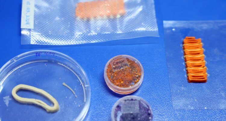 Embrapa produz em laboratório salmão, caviar e anéis de lula veganos