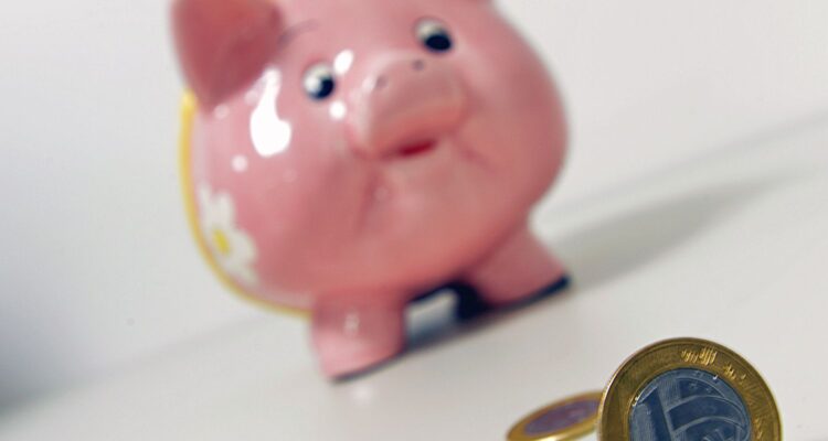 Entenda como funciona investir no Tesouro Reserva