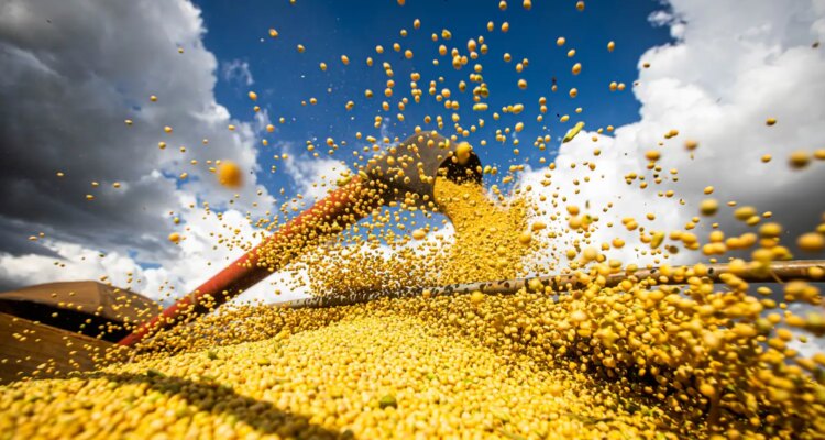 Conab: produção de grãos pode chegar a 358,6 milhões de toneladas