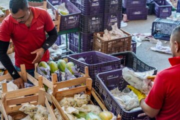 Governo anuncia crédito de R$ 97,3 bi para agricultores familiares