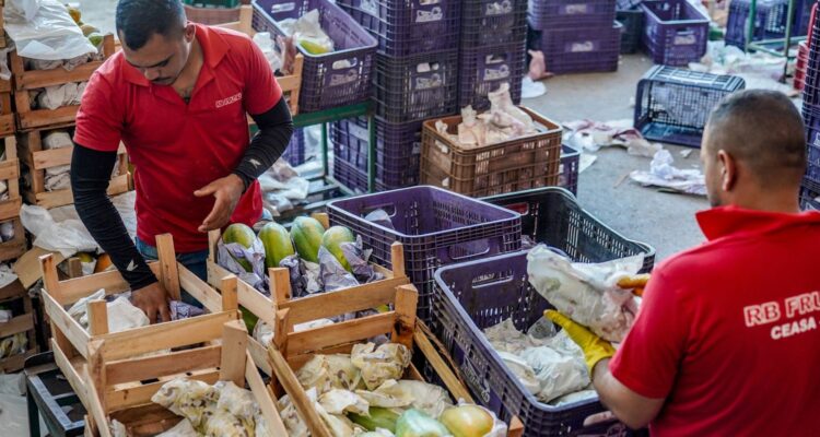 Governo anuncia crédito de R$ 97,3 bi para agricultores familiares