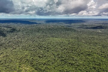 Fazenda autoriza crédito de US$ 1 bilhão do BID para Eco Invest Brasil