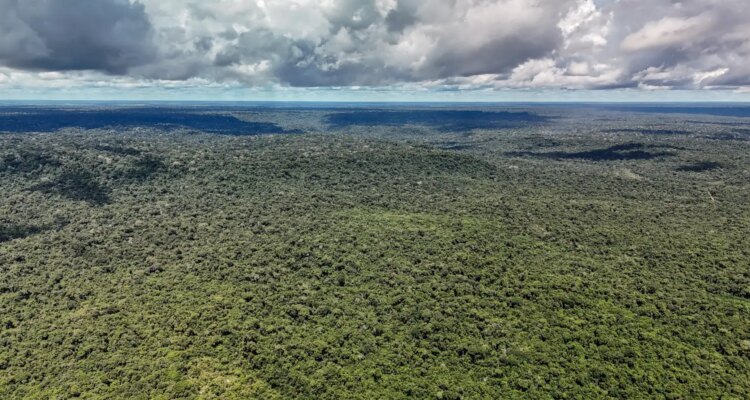 Fazenda autoriza crédito de US$ 1 bilhão do BID para Eco Invest Brasil