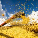 Produção agrícola brasileira superou R$ 927 bilhões em 2025