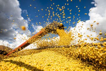 Produção agrícola brasileira superou R$ 927 bilhões em 2025