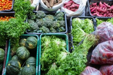Segurança alimentar exige esforço coletivo e articulação